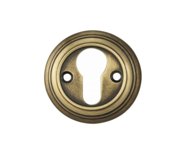 Delamain Euro Profile Escutcheon, Florentine Bronze