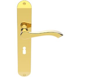 Andros Door Handles On Long Backplate, Polished Brass (Sold In Pairs)