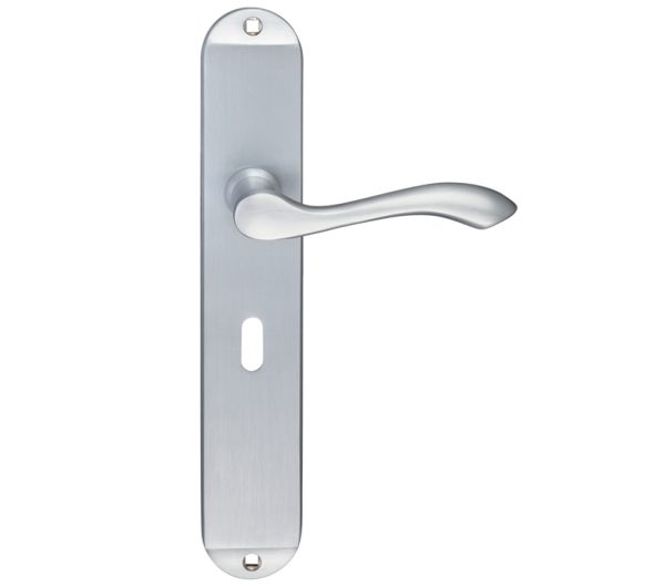 Arundel Door Handles On Long Backplate