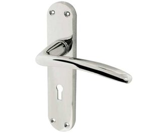 Gull Door Handles On Backplate