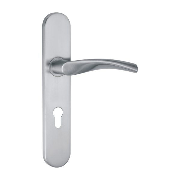 Ss Handle On Backplate -245 X 45 X - 10Mm Thickness - 130Mm Handle