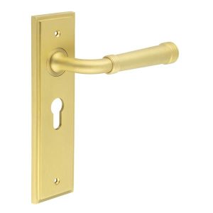 Highgate Door Handle Euro Backplate Satin Brass