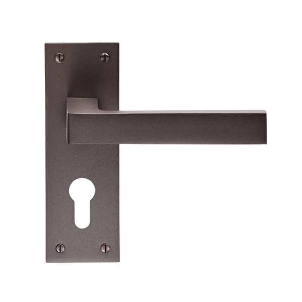 CARLISLE BRASS - EUL011YMBRZ SASSO LEVER ON BACKPLATE - EURO 47.5MM