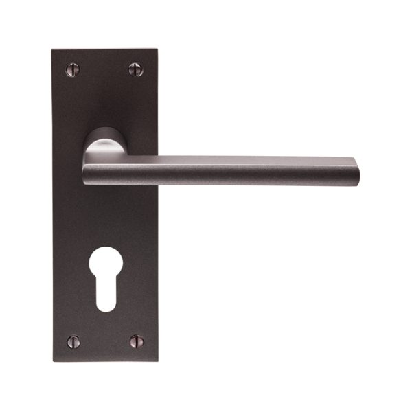 CARLISLE BRASS - EUL031YMBRZ TRENTINO LEVER ON BACKPLATE - EURO 47.5MM