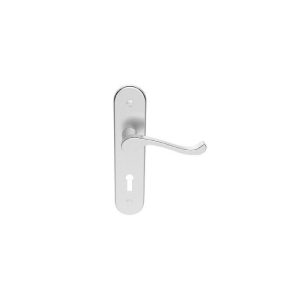 LB4040ECP Lever on Back Plate Regalo