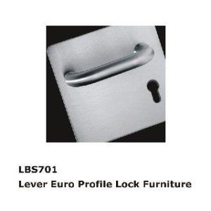 LBS701SSS D Handle On Plate