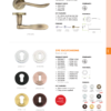 Zoo Hardware ZPZ002-ETB Escutcheon Standard Profile (50mm Dia.) Pvd Bronze

