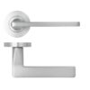 Zoo Hardware ZPA010-SC Leon Door Handle on Rose Satin Chrome
