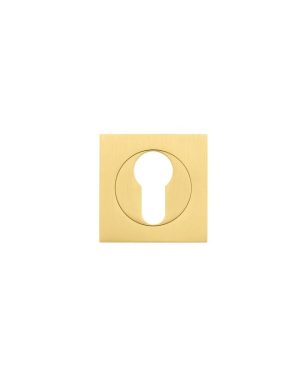 Zoo Hardware ZPZSQ001-FSB Square Escutcheon - Euro Profile Pvd Satin Brass
