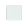 Eurolite Ecw1B Single Blank Flat Concealed White Plate