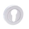 STATUS Euro Escutcheon on Round Rose - Polished Chrome