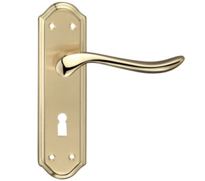 Zoo Hardware Fulton & Bray Lincoln Door Handles On Backplate